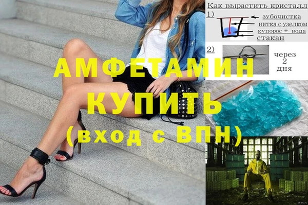 шишки Алексеевка