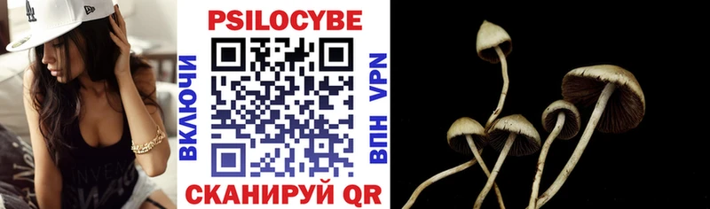 Галлюциногенные грибы Psilocybe  купить закладку  omg как войти  Лобня 